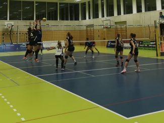 Damen 1 Volleyball TSV 1860 Hanau am 24.11.2019 bei der TG Bad Soden