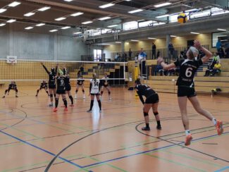 Damen 1 Volleyball gegen VC Wiesbaden