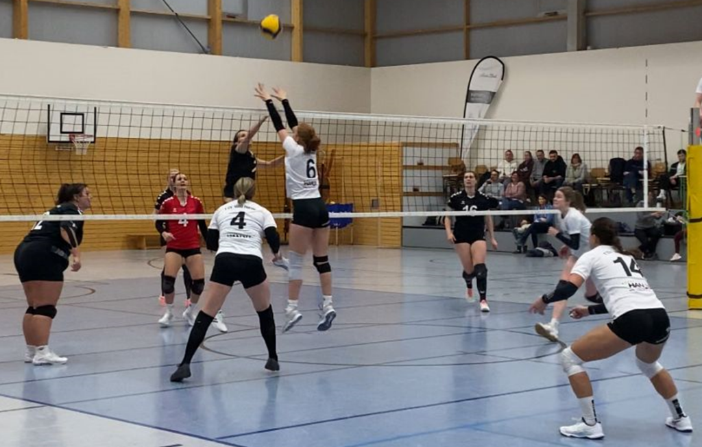 TSV 1860 Hanau Volleyball Oberliga unterliegt Bad Homburg