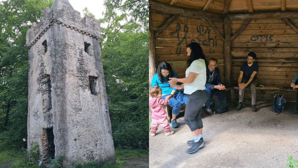 Badminton erreichen beim Wandertag die Klosterruine St. Wolfgang